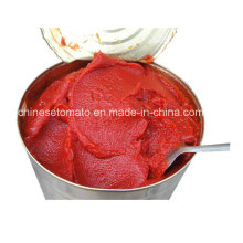 Купить Консервированная томатная паста Tin Tomato Paste Tomato Sauce 28-30%